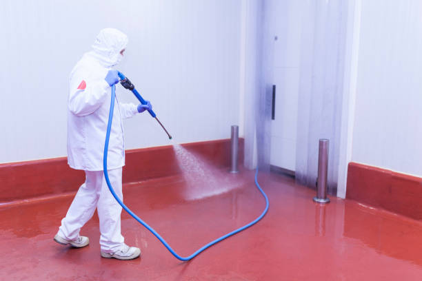 Best Patio and Deck Pressure Washing  in Sweetser, IN